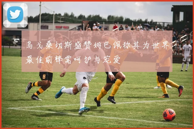 乌戈桑切斯盛赞姆巴佩称其为世界最佳前锋需呵护与宠爱