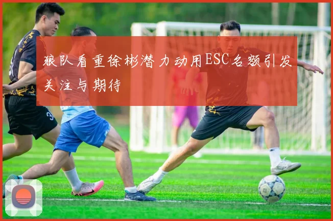 狼队看重徐彬潜力动用ESC名额引发关注与期待