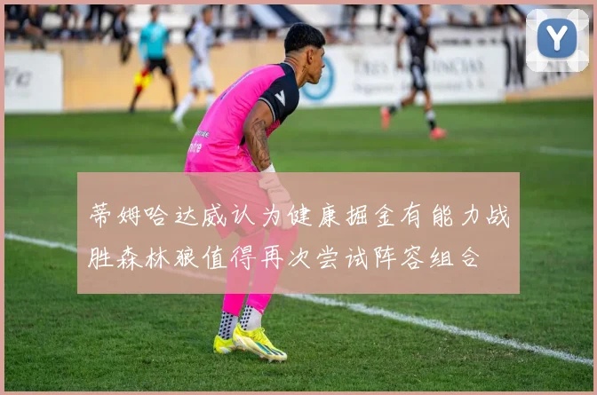 蒂姆哈达威认为健康掘金有能力战胜森林狼值得再次尝试阵容组合